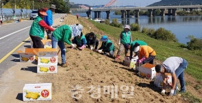 부여 규암면 새마을지도자협, 산책로 조성