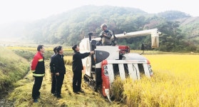 김종일 청주 상당구청장, 벼 베기 현장 찾아 구슬땀
