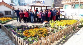 용두동 마을공동쉼터, 겨울 꽃으로 단장