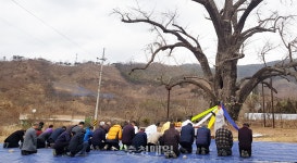 부여지역 안녕·풍년 기원 다채로운 민속행사 눈길