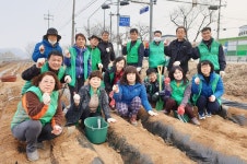 충주 목행용탄동새마을協, 사랑의 감자 심기