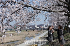 벚꽃길 걸으며 아름다운 추억 쌓아요