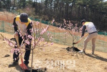 당진화력본부, 지역사랑 활동