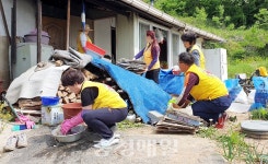 금산인삼고을봉사반, 금성면 양전2리 봉사활동