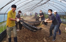 충주 연수동 직능단체, 생산적 일손봉사로 구슬땀