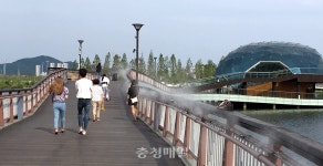 세종호수공원 폭염저감시설 쿨링포그 설치