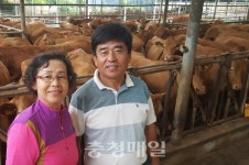 괴산 한우 우수성 입증