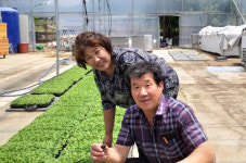 이달의 새농민상에 증평 류임걸·장윤희씨 부부 선정