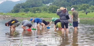 괴산 둔율 올갱이 축제 성료