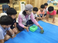 청주 창리초등학교병설유치원, 행복한 숲 체험 진행