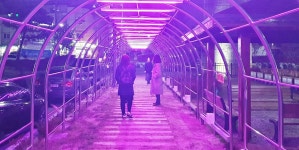 충주시 봉방동행정복지센터, 봉방 소공원에 LED 경관조명 설치