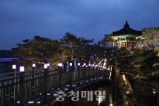 금강 벗삼아 달빛산책 즐겨요