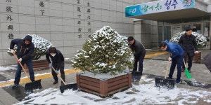 청주시립도서관 전 직원, 눈 쓸기 참여