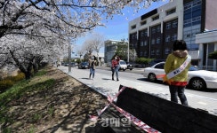 무심천 벚꽃길 사회적 거리두기 동참해요