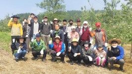 청남대관리사업소 직원들, 휴일반납하고 농촌 일손봉사