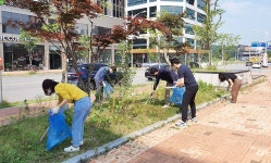 충북혁신도시발전추진단, 환경정화활동