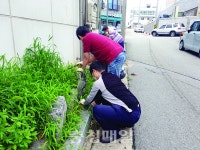 청주시 봉명1동, 환경정화 활동 펼쳐