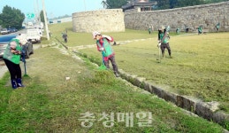 당진시 면천면 새마을지도자·부녀회, 제초작업 봉사