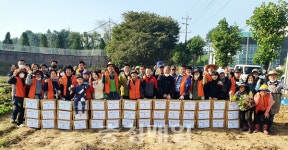당진3동, 공동텃밭 고구마 수확 나눔행사 열어