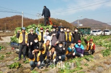 충주 노은라이온스클럽, 배추 지원