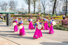 증평 보강천 미루나무숲 힐링 명소로 각광