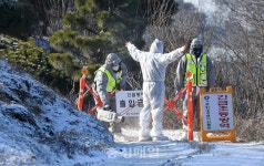 충주 종오리 농장 AI 항원 검출
