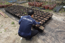 국립산림품종관리센터 산림종자 유통조사 실시