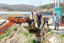 계룡시 두마면, 나무심기 행사 열어