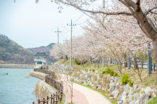 증평 삼기저수지 등잔길, 비대면 안심관광지 선정