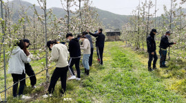 보은군 삼승면행정복지센터, 생산적 일손봉사 참여