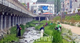 공주시 중학동자율방범대, 제민천 잡초 제거