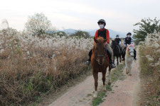 폐교 위기 충주 가흥초, 명품 농산촌학교로 거듭나