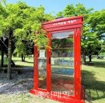 구드래공원에서 책을 읽어요