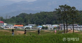 청주 정북동토성으로 나들이 나온 시민들