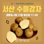 내일부터 서산 팔봉산감자·6쪽마늘 팝니다