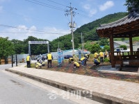 단양 대강면 노인회, 환경정화 활동
