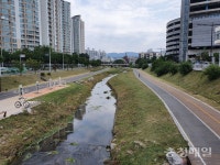 천안 동남구, 도심 하천 환경정비 추진