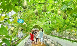 계룡농업기술센터 박터널 조성