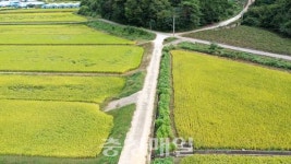 청양군, 화성면 신정리 리도 201호 넓힌다