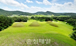 능산리 고분군, 부여 왕릉원으로 명칭 변경