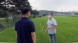 금산군, 벼 병해충 방제·이삭거름 사용 지도