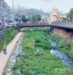 공주 금학동 자율방재단, 하천 예초작업 펼쳐
