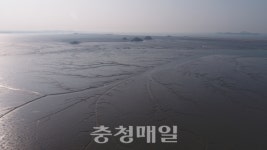 충남 서천갯벌, 유네스코 세계자연유산 등재
