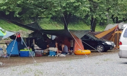 금산산림문화타운 캠핑장 방역 허술 도마 위