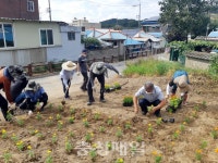 공주 탄천면 통산골 상인회, 미관 저해 지역 꽃밭 조성