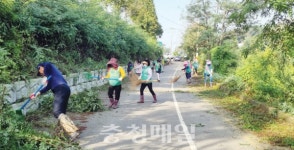 당진 신평면, 추석맞이 벌초작업 구슬땀