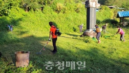 공주시 계룡면 유평2리, 영규대사 묘제초 작업 실시