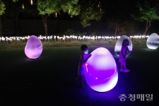 덕산온천관광지 밤에도 반짝…야간 관광명소 입소문