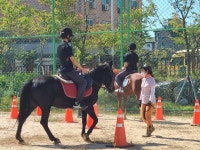 충주대소원중학교, 우리는 자유학기로 말탄다
