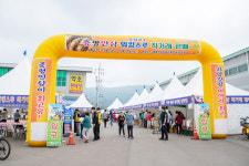 증평인삼, 워킹스루 직거래 특별판매 완판…4억 수익